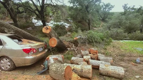 Smashed car Stock Footage 235371649