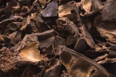Smashed carob pods Stock Photos