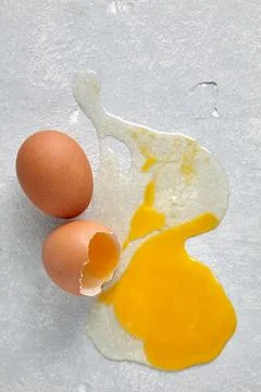 The smashed chicken egg splattered across the concrete floor Stock Photos
