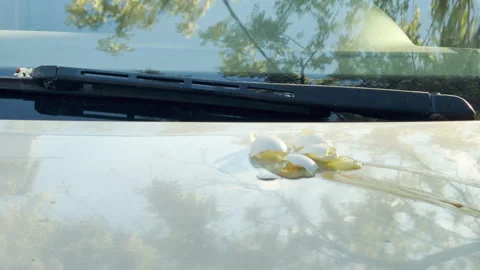 Smashed Egg Splattered on Car Hood Indicates Vandalism or Accident Stock Footage 336362652