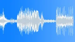 Smashing Junk (2) Sound Effect