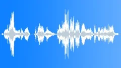 SmCrowd_TellGuyToChillOutSound Effect