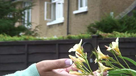 Smelling flowers 02 Video stock 28018593
