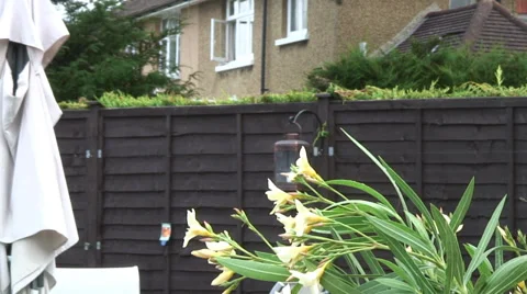 Smelling flowers04 Video stock 28018814