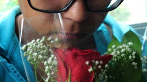 Smelling The Roses Stock Photos