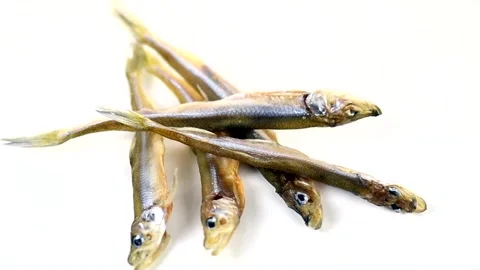 Smelt fish dried salted snack isolated on white background close up, Small fish  Stock-Footage 336082062