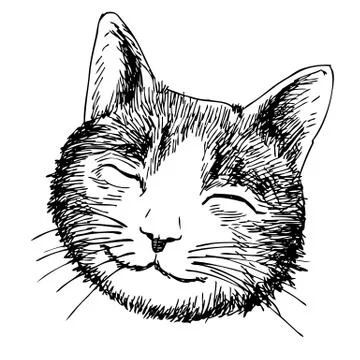 Smile cat head 스톡 일러스트