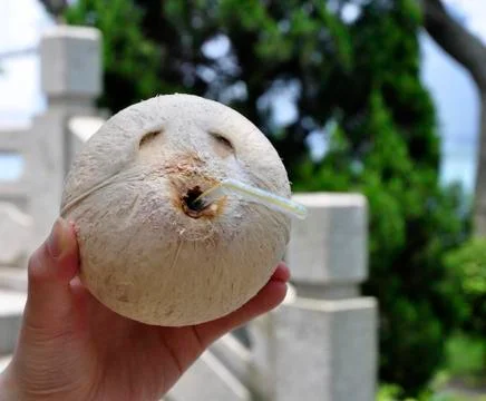A smile coconut Stock Photos