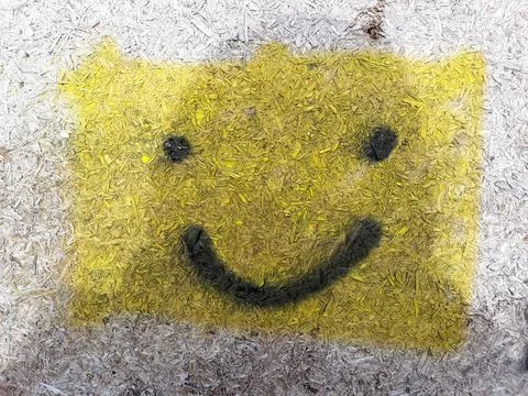 Smile Graffiti Rectangular 스톡 사진