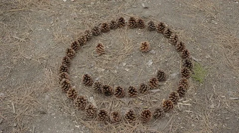 Smile Of Pine Cone, Sign Stock Footage 61584167