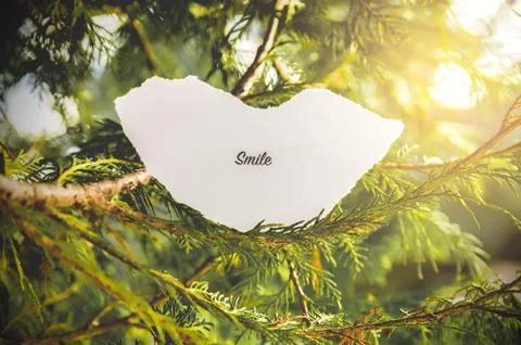 Smile text Stock Photos