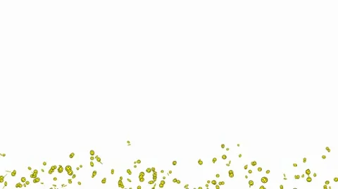 Smiles Forever (White Background) Video stock 10767742