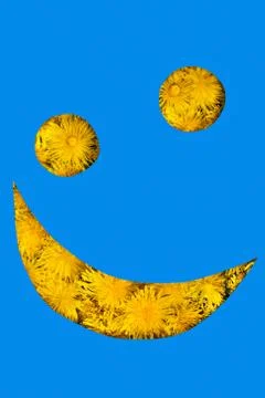 Smiley from dandelions Stock Photos