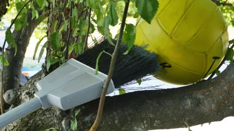 Smiley Face Ball Stuck in Tree Being Pushed Out by Child, 4K Stock Footage 54378538
