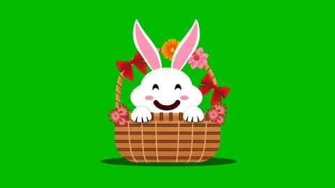 Smiley face easter bunny in decorated basket on green screen animation. Stock Illustration
