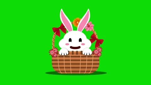 Smiley face easter bunny with swinging ears in decorated basket on green sc.. Stock Footage 306078740
