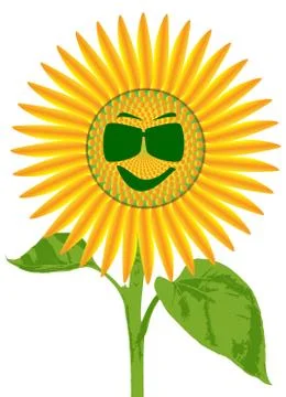 Smiley Face Giant Sunflower Stock Illustration