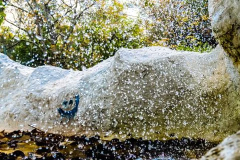 Smiley face seen through waterfall Stock Photos