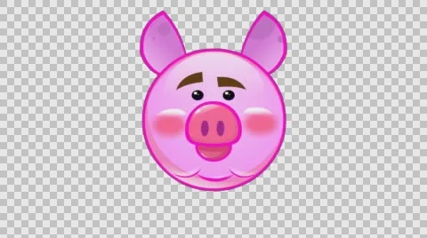 Smiley pig Stock Footage 61450592