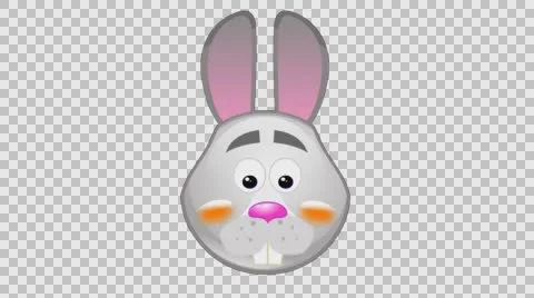 Smiley rabbit Stock Footage 61450584