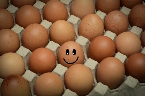 Smileys egg concept Stock Photos