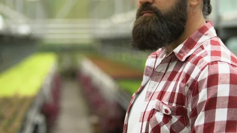 Smiling bearded farmer pointing hand at greenhouse plants, agricultural business Видео 118911592