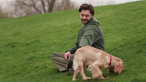 Smiling bearded man sits on a green lawn and plays with a cocker spaniel. A Stock Footage 240926201