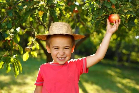 Smiling boy with apple Foto stock
