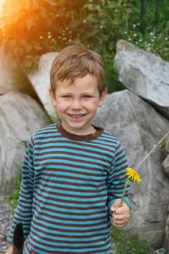 Smiling boy with dandelion in front of big rocks in sunlight Stock Photos