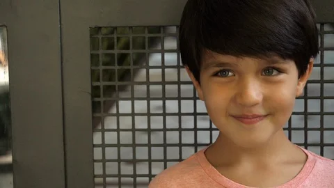 Smiling boy Stock Footage 88908659