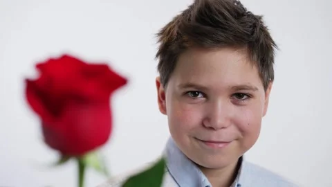 Smiling boy gives a red rose Stock Footage 241516697
