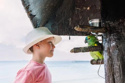 Smiling boy in hat looking at parrot on tropical seashore 스톡 사진