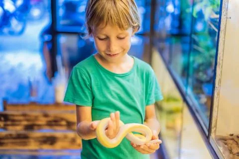 Smiling boy holding python in his hands Photos