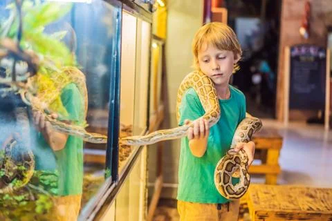 Smiling boy holding python in his hands Stock-Fotos