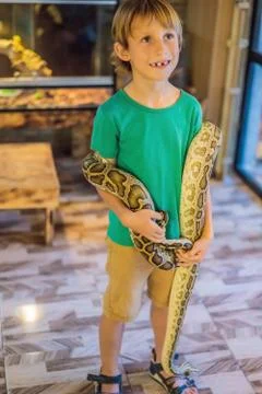 Smiling boy holding python in his hands Stock-Fotos