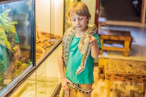 Smiling boy holding python in his hands Stock-Fotos