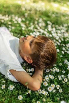 Smiling Boy Lying in Daisy Meadow on Sunny Spring Day Stock Photos