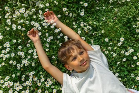 Smiling Boy Lying in Daisy Meadow on Sunny Spring Day Stockfoto's