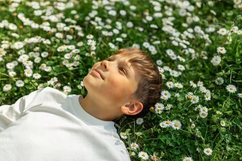 Smiling Boy Lying in Daisy Meadow on Sunny Spring Day Photos