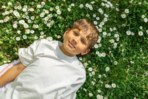 Smiling Boy Lying in Daisy Meadow on Sunny Spring Day Stockfoto's