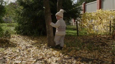 Smiling boy is playing hide-and-seek into the tree in the country house Stock Footage 223161859