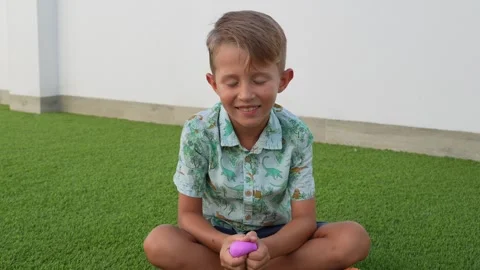 Smiling Boy Sitting on Green Grass Holding a Purple Toy Stock-Footage 341831369