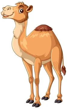 Smiling Cartoon Camel Standing in Side View Stock Illustration