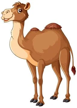 Smiling Cartoon Camel Standing with Two Humps Stock Illustration