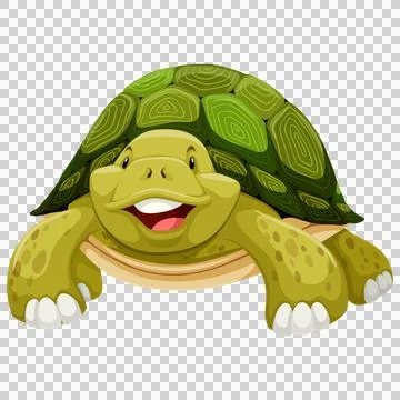 Smiling Cartoon Turtle Close-up Ilustração Stock