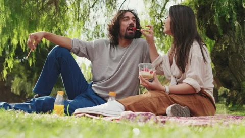 Smiling couple communicating while enjoying in picnic day Stock Footage 227138820