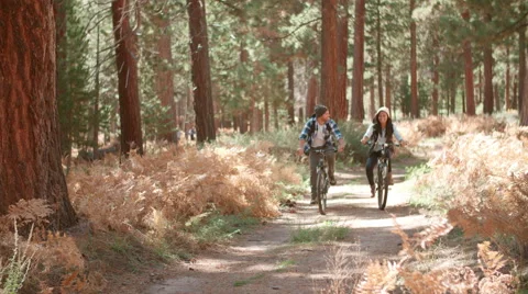 Smiling couple cycling through a forest together, front view Video stock 67301415