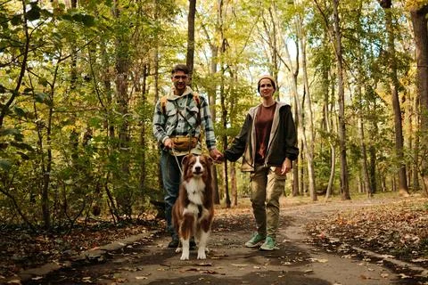 Smiling couple holding hands while walking Australian Shepherd dog along au.. Stock-Fotos