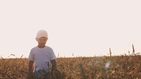 Smiling cute boy kid with white cap walking at sunny dry wheat field closeup Stock Footage 277303847
