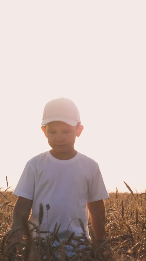 Smiling cute boy kid with white cap walking at sunny dry wheat field closeup Stock Footage 302744521